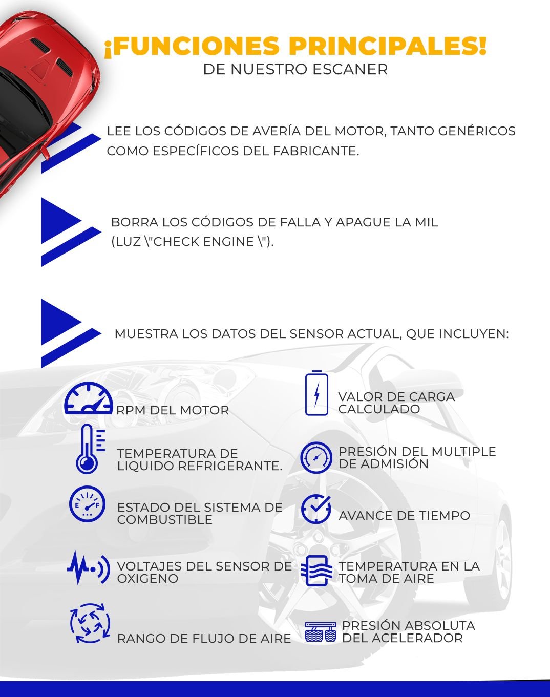 WhatsApp Image 2024-09-30 at 9.38.52 AM (1)